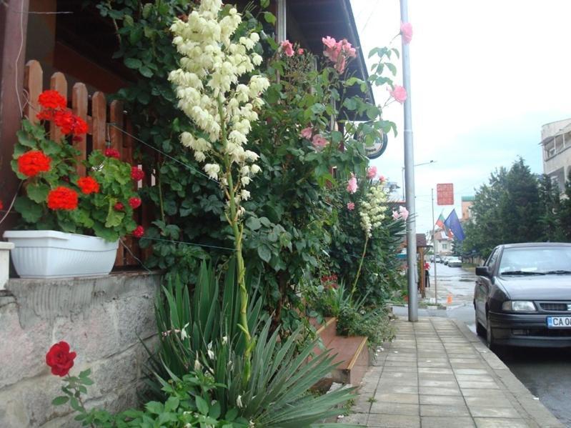 Lazur Hotel Rawda Zewnętrze zdjęcie