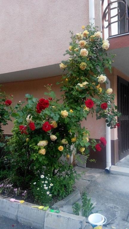Lazur Hotel Rawda Zewnętrze zdjęcie
